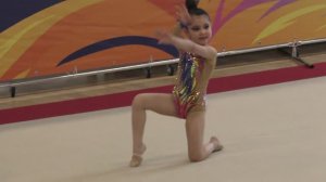 Открытый турнир по художественной гимнастике