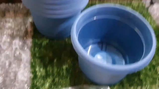 #bestonlineflowerpotshoping# Amazon plastic flower pot Shoping👍👍 смотреть онлайн