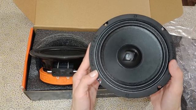 DL AUDIO Phoenix SQL 165