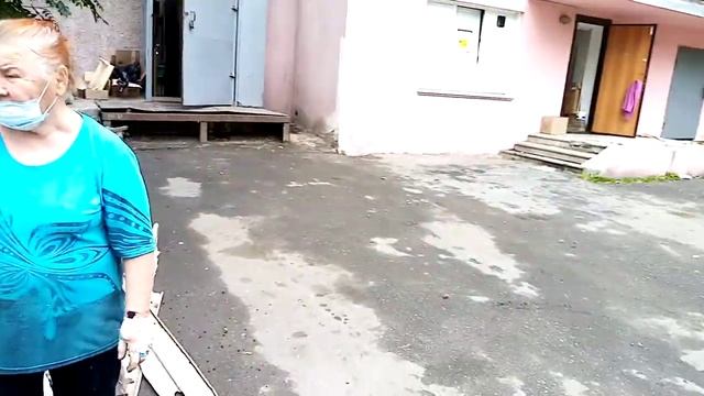 Цветы Лилии у дома. смотреть онлайн