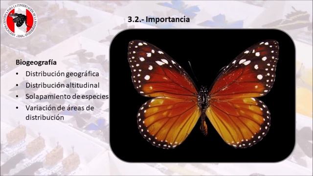 CONFERENCIA - Importancia de las Colecciones Científicas para el Estudio de la Entomología смотреть онлайн