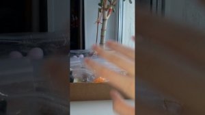 Обзор на таба сквиши