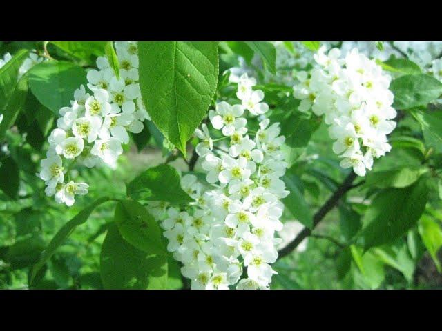 Дела не заканчиваются.Вкусная заливочка. смотреть онлайн