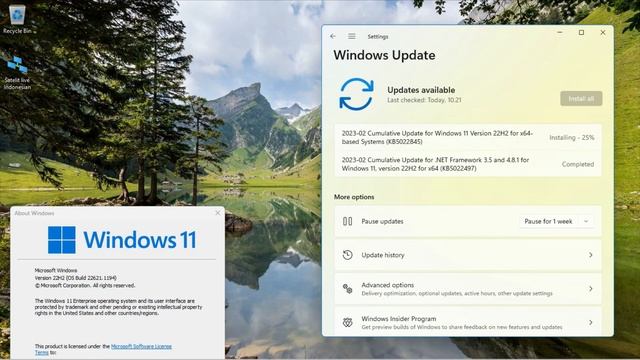 2023-02 Cumulative Update for Windows 11 Version 22H2 for x64-based Systems (KB5022845) смотреть онлайн