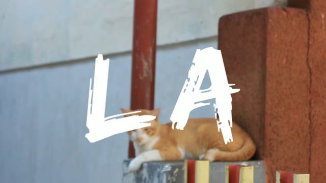 MALANG CITY 2019 смотреть онлайн