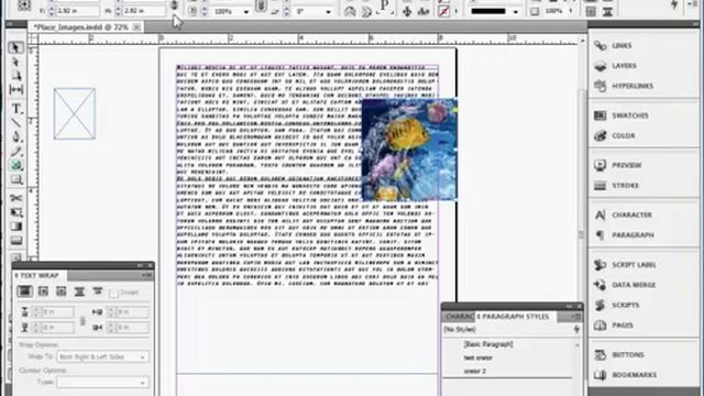 InDesign Training : How to Add Images in Adobe InDesign CS5 смотреть онлайн
