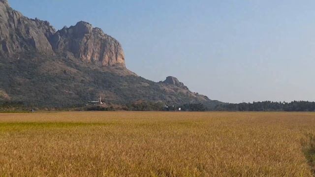 kanyakumari, Nagercoil, Derisanamcope . Agri land 50 cent ,11.5 lakhs.cont.8098384895 смотреть онлайн