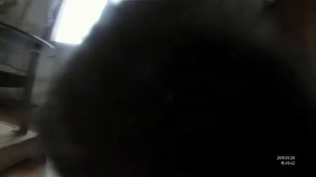 Degus Januar 2011 смотреть онлайн