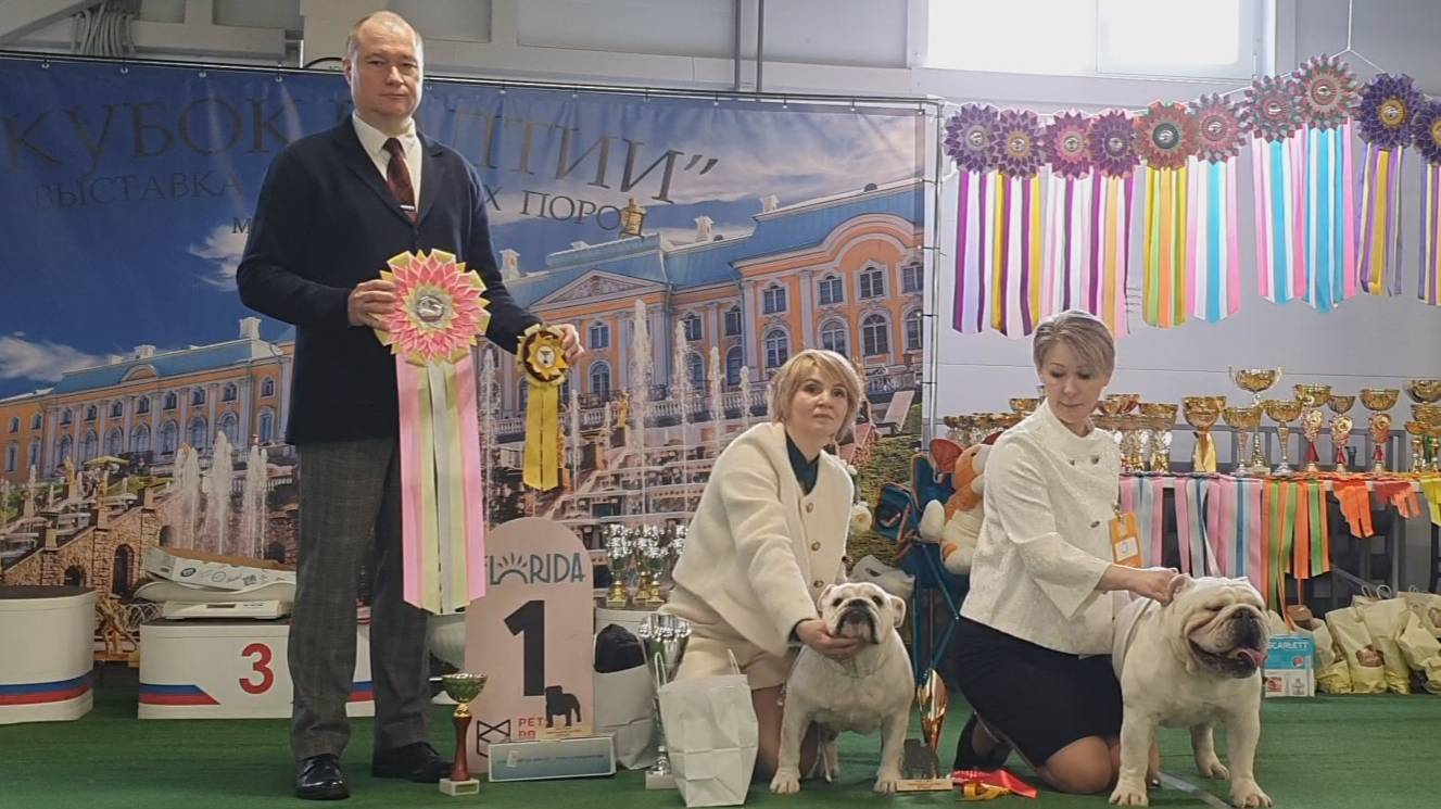 29.03.2025, СПб. Клуб "Спарс" (РКФ, РФСС). Моно БУЛЬДОГ смотреть онлайн