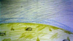 Кот Арбуз в космосе