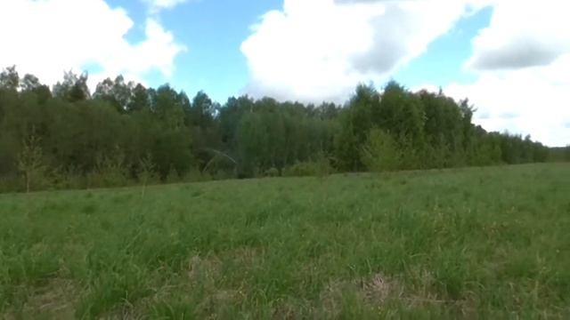 Клинское Наследие(коп по траве №1)... смотреть онлайн