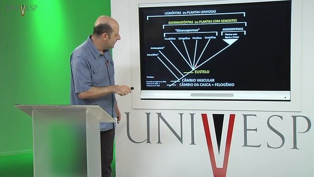 Morfologia Vegetal - Aula 01 - Organização Geral do Corpo Vegetal смотреть онлайн