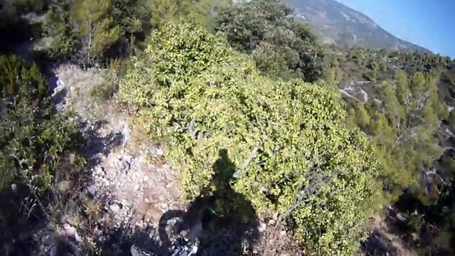 Trailriding Cannondale Trigger 29-1 in Croatia Hum-Hiking-Trail full length смотреть онлайн
