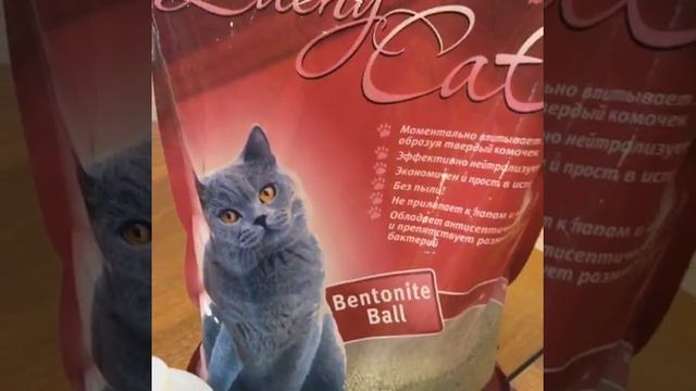 Наполнитель Lucky Cat (Лаки Кэт) комкующийся, лучший для кошек! смотреть онлайн