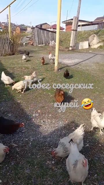 6 мая 2023 г. смотреть онлайн