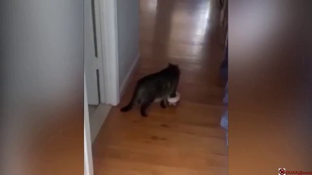 Самое Смешное !!!