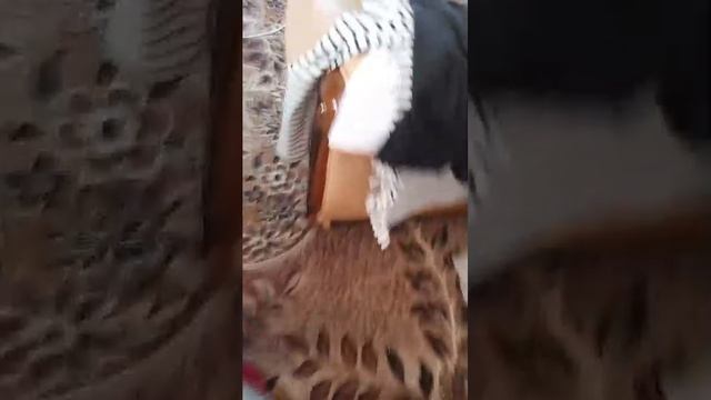 вторая часть уборка смотреть онлайн