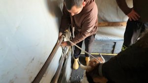 Сокращаем хозяйство. Мы продали корову. Сделали подарки родителям. Жизнь простых людей в деревне.