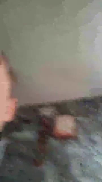 собака смотреть онлайн