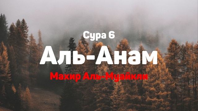 Сура 6 Аль-Анам - Махир Аль-Муайкли