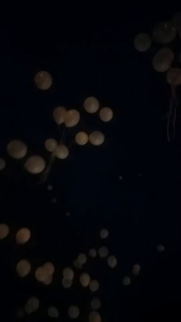 Помним. Любим. Скорбим»:  😢😢😢 Г АЛМАТЫ выражают соболезнования семьям погибших в Кемерове смотреть онлайн