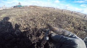 Хороший коп монет