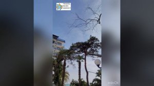 Парк-спа-отель «Нарт», Гагра, Абхазия