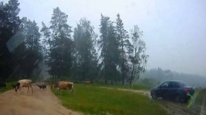 Стихия разбушевалась