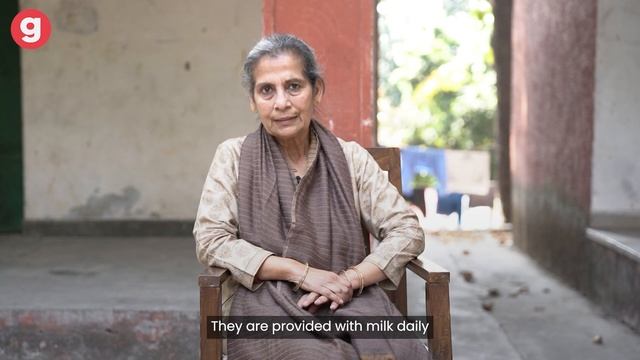 After a life of stigma, 25 elderly leprosy patients face homelessness. Donate now to help them смотреть онлайн