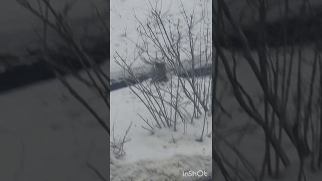 Для души.))))) смотреть онлайн