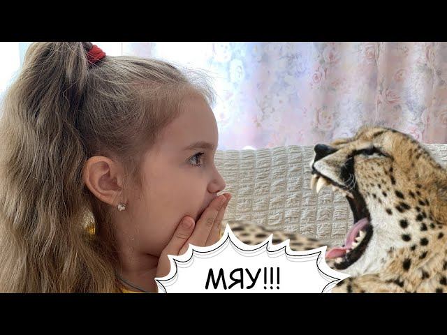 КИНО /// Обзор фильма Дума (Мысли о свободе) + факты о гепардах