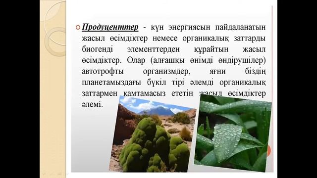 8 апреля 2021 г. смотреть онлайн