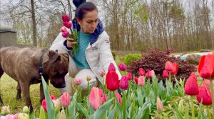 Огородные Работы | Наш Ужин | Дождливый День 🌧️ | Семейный Влог | Эгине | Heghineh