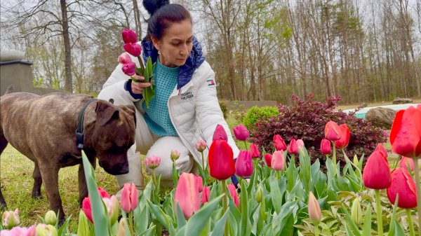 Огородные Работы | Наш Ужин | Дождливый День 🌧️ | Семейный Влог | Эгине | Heghineh