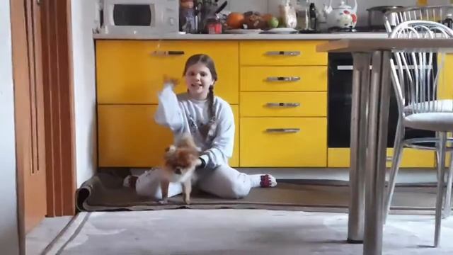 ШАНЯ ВЫБИРАЕТ ЧТО МНЕ ДЕЛАТЬ 24 ЧАСА(Шане пофиг)🦋🐶🐕 смотреть онлайн