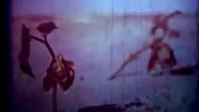 Наследственность и среда смотреть онлайн