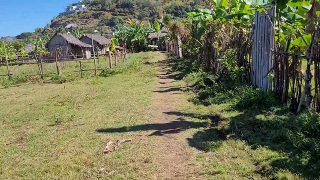 Walking around Nosy Be Madagascar to check my land out August 2022 смотреть онлайн