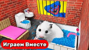 Лабиринт для Хомяка ! Умный Хомяк выбирается из ТЮРТМЫ ХАГИ ВАГИ с ловушками ! #топыкатегорий