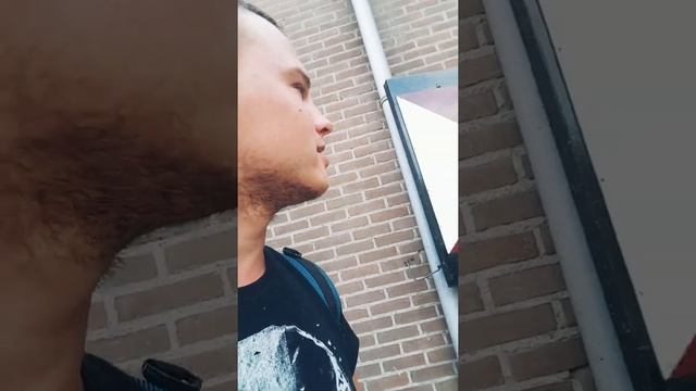 Лошадки в Голландии 🤗💜 смотреть онлайн