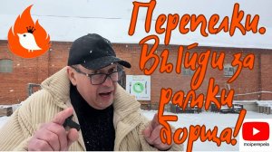 Перепелки. Азиатская кухня, которая покорит любого и сделает тебя звездой