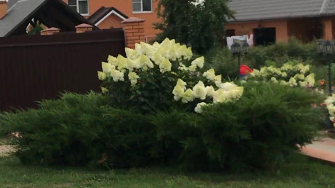 Ландшафтные хитрости.