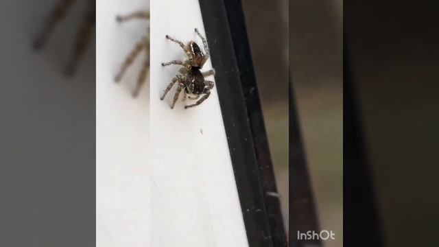 Создание АЛЛАХА 😍 смотреть онлайн