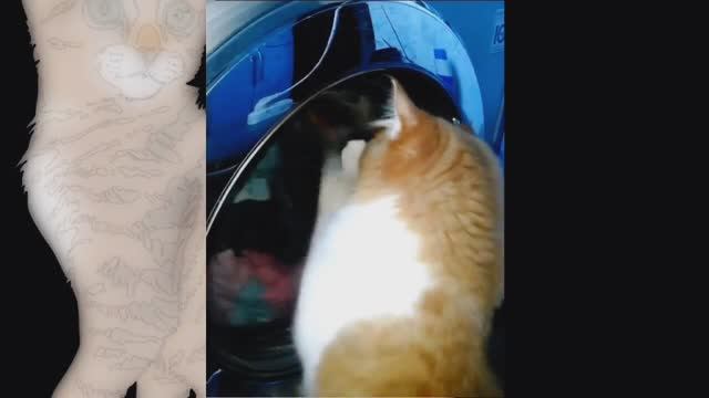 Мой помощник Микс. смотреть онлайн