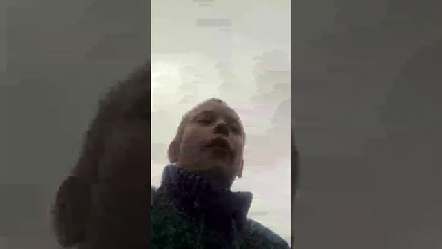 собака смотреть онлайн
