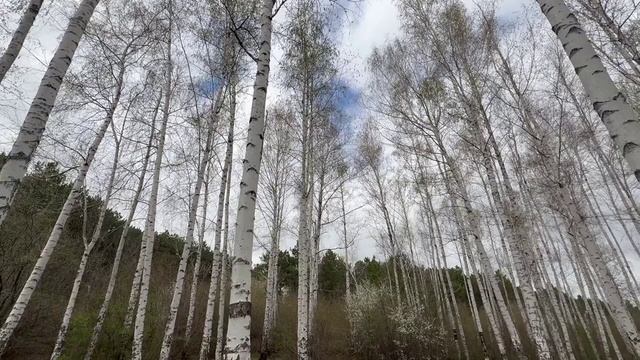 КрымАпрельСуббота