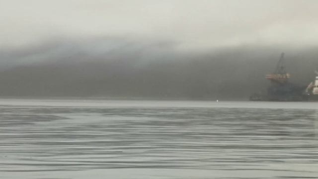 13 февраля 2019 г. Порт Восточный смотреть онлайн