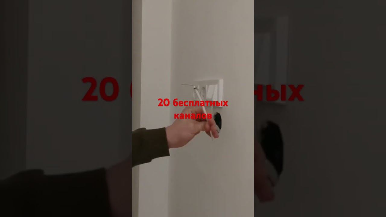 7 ноября 2023 г. смотреть онлайн