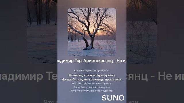 Владимир Тер-Аристокесянц - Не ищу (вар2)