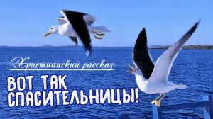 📗 "Вот так спасительницы!" ~ РАССКАЗ Христианский ~ 👧🟢 ДЕТСКАЯ РУБРИКА ~ АУДИОРАССКАЗ