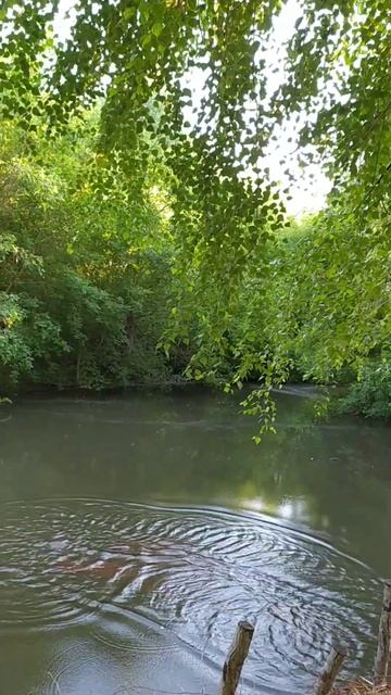 Учимся кидать кастинговую сеть #рыбалка #отдых смотреть онлайн